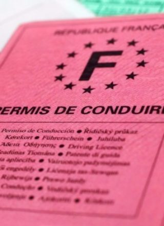 Résultats et demandes : permis de conduire